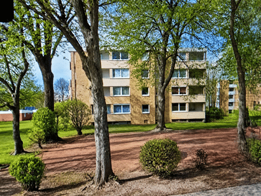 Terrassenwohnung zum Kauf 85.000 € 2 Zimmer 57 m² EG frei ab sofort Detmerode Detmerode 38444