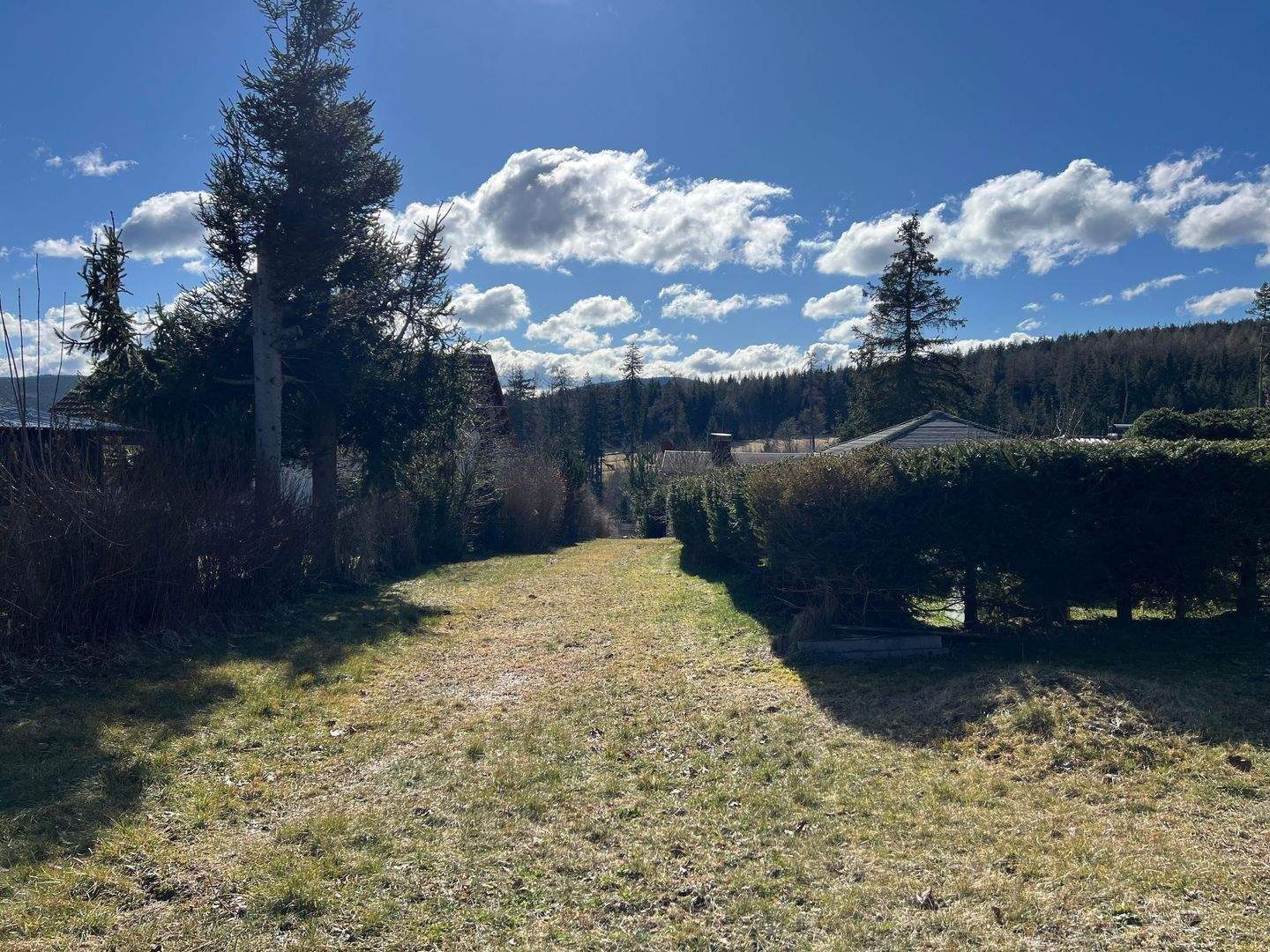 Immobilie in Tambach-Dietharz - NEUBAU möglich / Traumgrundstück mit Bungalow / Ortsrandlage - Bild 4