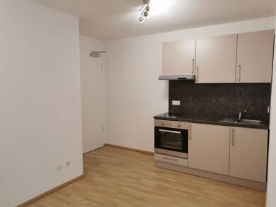 Wohnung zur Miete 450 € 1 Zimmer 29,5 m² Geschoss 1/2 frei ab 01.08.2025 Neuburg Neuburg an der Donau 86633