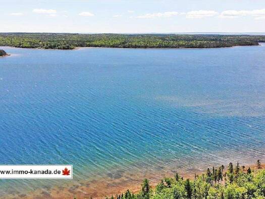 Grundstück zum Kauf 269.000 € 317.500 m² Grundstück Higway 320 Louisdale 010