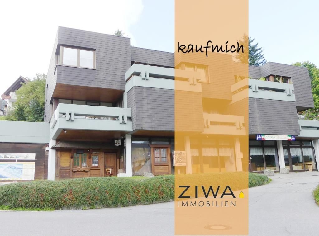 Wohnung zum Kauf 125.000 € 3 Zimmer 75 m²<br/>Wohnfläche Todtnauberg Todtnauberg 79674