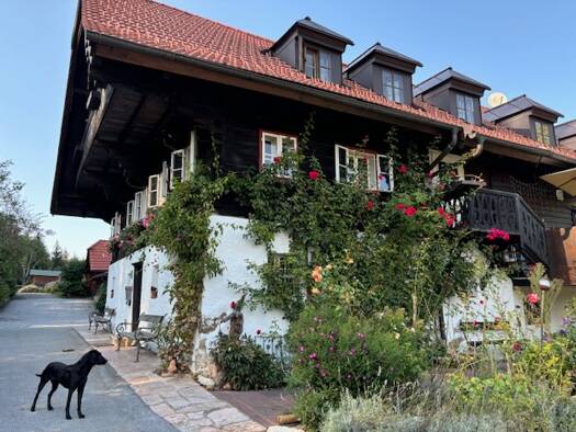 Wohnung zur Miete Wohnen auf Zeit 2.146 € 1 Zimmer 110 m² frei ab 06.01.2026 Salzburg 5101