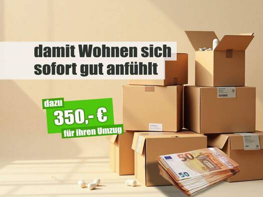 Wohnung zur Miete 285 € 2 Zimmer 41,3 m² 3. Geschoss frei ab sofort Wenzel-Verner-Str. 55 Helbersdorf Chemnitz 09120