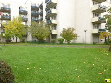 Wohnung zum Kauf als Kapitalanlage geeignet 97.500 € 1 Zimmer 32 m² Oppelner Straße Neu-Tannenbusch Bonn 53119