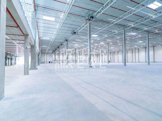 Lagerhalle zur Miete - Erstbezug provisionsfrei 15.300 m² Lagerfläche teilbar ab 4.600 m² Haßlinghausen Sprockhövel 45549