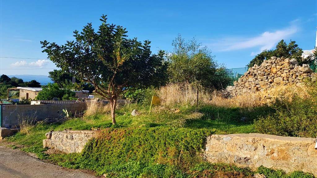 Land-/Forstwirtschaft zum Kauf 78.000 € 300 m² Grundstück Kreta