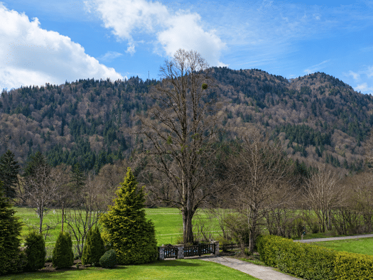 Grundstück zum Kauf 2.185.000 € 880 m² Grundstück Reitrain Kreuth 83700