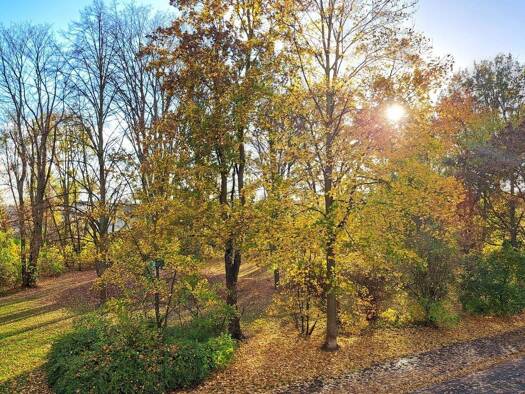 Wohnung zur Miete 723 € 3 Zimmer 74,6 m² EG Hohendodeleber Str. 23 Stadtfeld West Magdeburg 39110