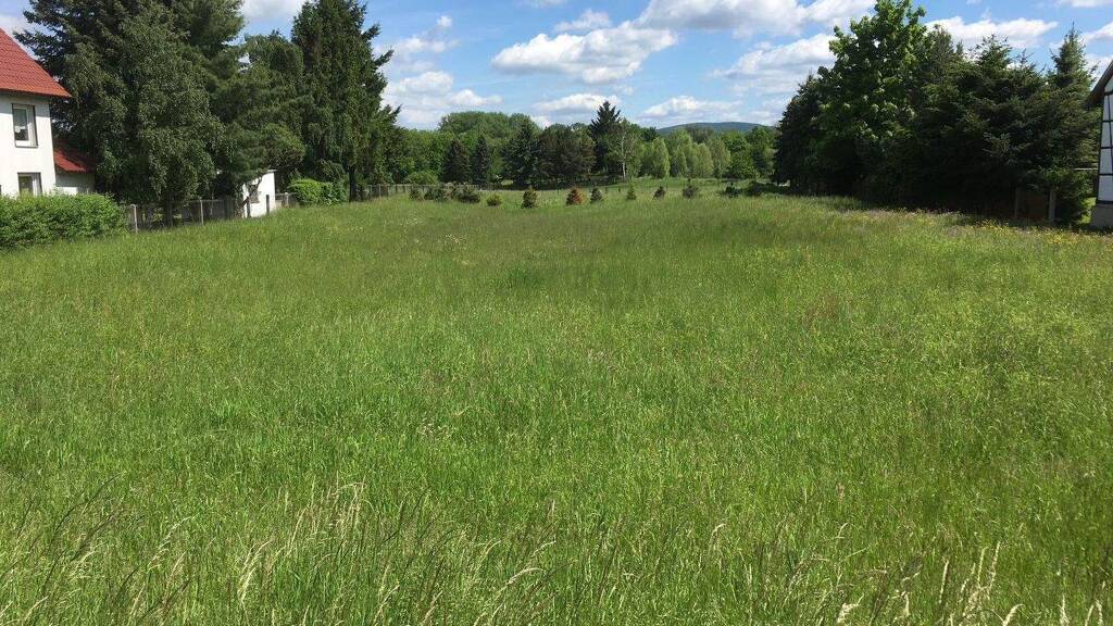 Grundstück zum Kauf 200.000 € 1.600 m² Grundstück frei ab sofort Herrenhof 99887