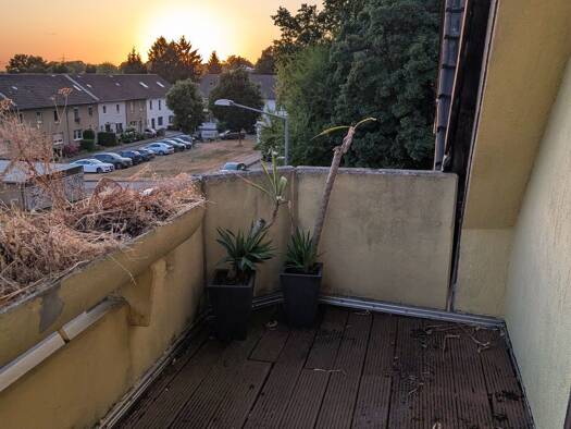 Wohnung zur Miete 500 € 2 Zimmer 60 m² Geschoss 1/2 frei ab sofort Stadtmitte Herten 45699