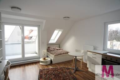 Wohnung zur Miete Wohnen auf Zeit 860 € 1 Zimmer 32 m² frei ab 01.05.2025 Wöhrd Nürnberg 90489