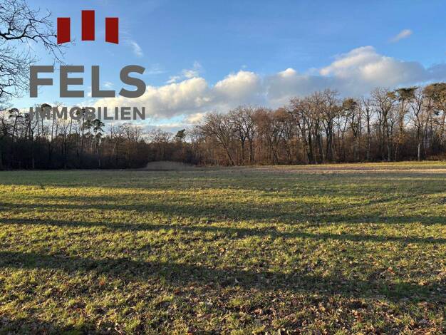 Landwirtschaftliche Fläche zum Kauf 89.000 € 28.174 m² Grundstück Dreieichenhain Dreieich 63303