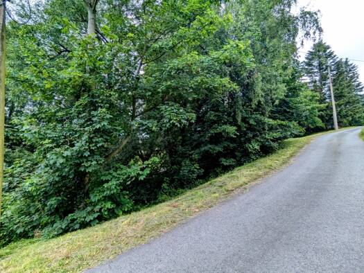 Grundstück zum Kauf 49.900 € 1.250 m² Grundstück Langenhennersdorf Bad Gottleuba-Berggießhübel 01816