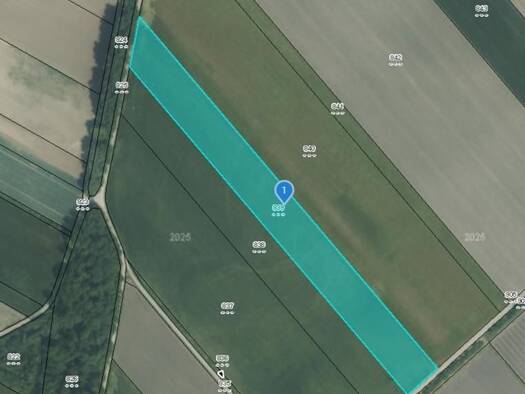Land-/Forstwirtschaft zum Kauf 135.000 € 13.529 m² Grundstück Seibersdorf 2444