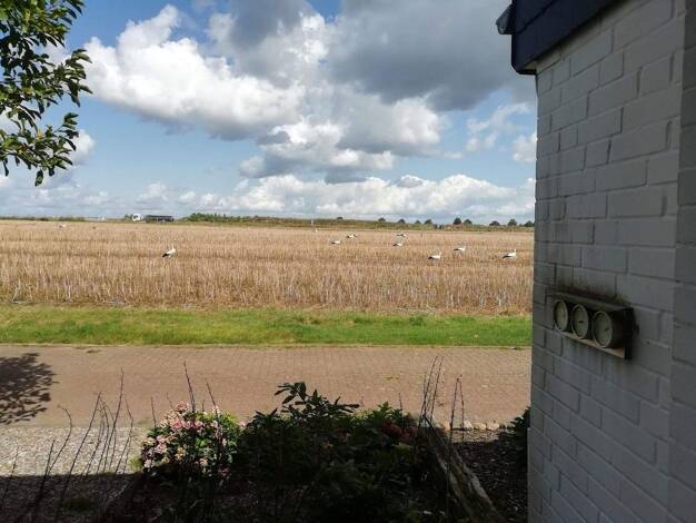 Bungalow zum Kauf provisionsfrei 419.000 € 4 Zimmer 117 m² 382 m² Grundstück frei ab 15.08.2026 Erich-Kästner-Str. 31 Wunstorf 31515