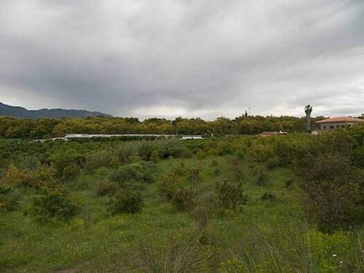 Wohn- und Gewerbegrundstück zum Kauf 283.500 € Alhaurín de la Torre 29130