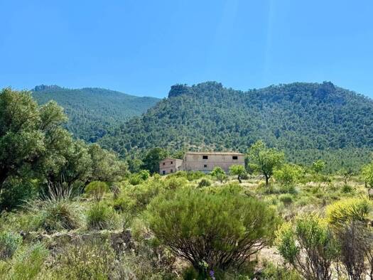 Acker-/Waldstück zum Kauf 199.000 € Cieza 30530