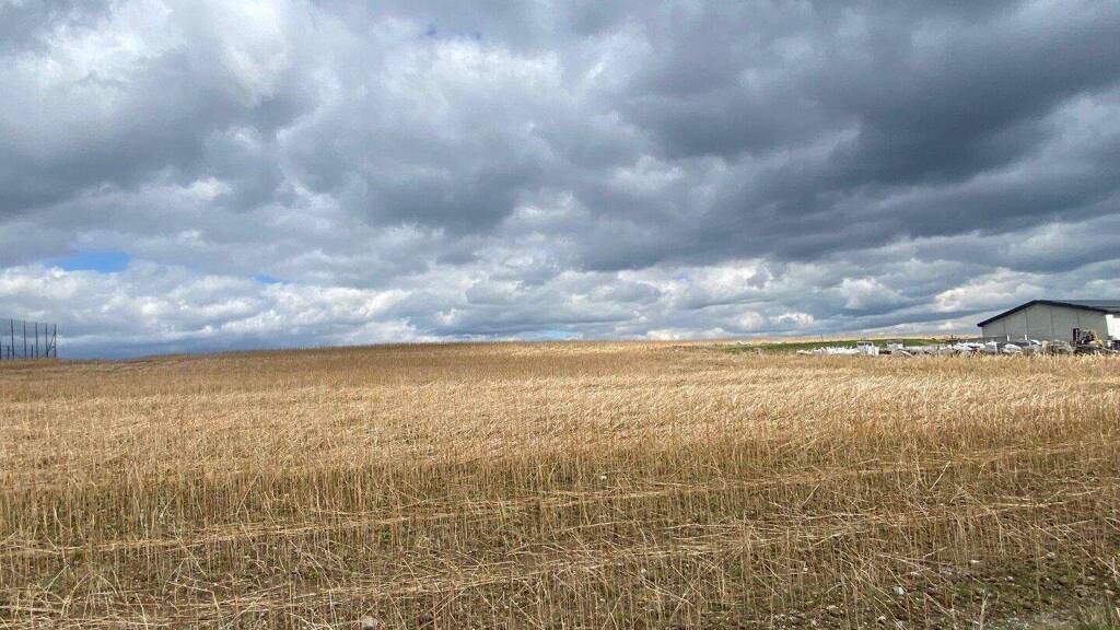 Gewerbegrundstück zum Kauf 32.000 m² Grundstück Els 3613