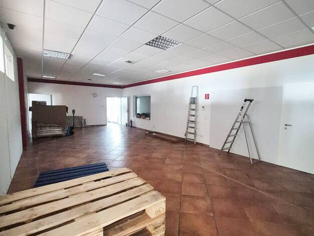 Bürofläche zur Miete 6 € 3 Zimmer 215 m² Bürofläche Nettelstedt Lübbecke 32312