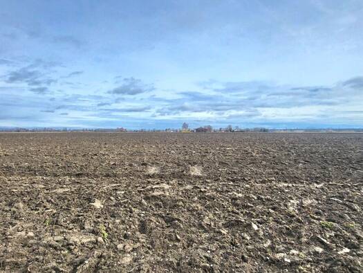 Land-/Forstwirtschaft zum Kauf 1.000.000 € 82.507 m² Grundstück Riedheim Leipheim / Riedheim 89340