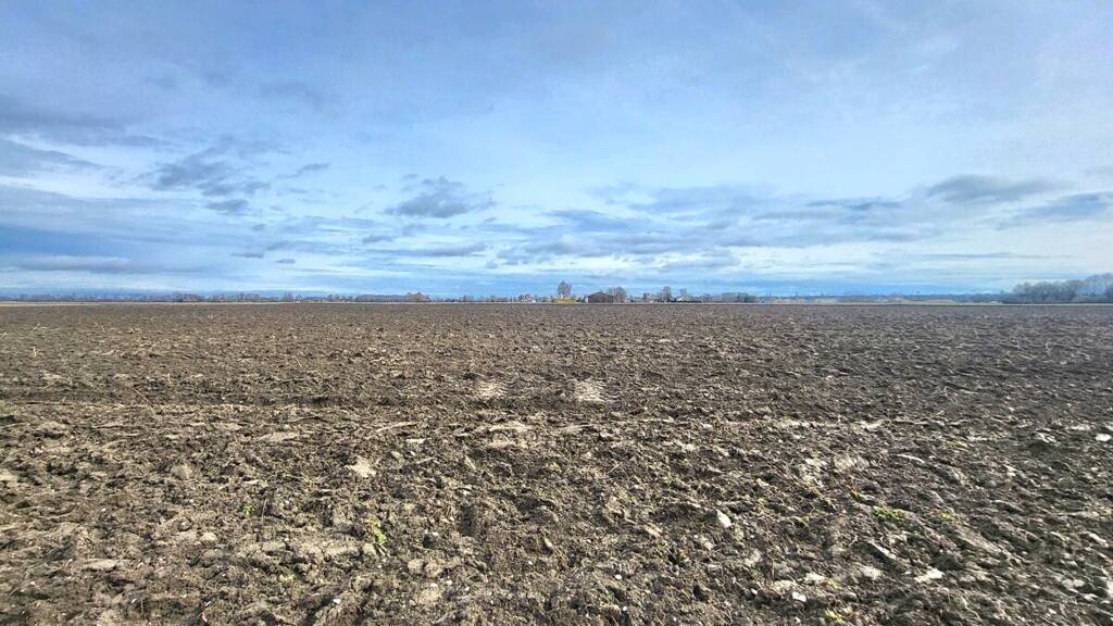 Land-/Forstwirtschaft zum Kauf 1.000.000 € 82.507 m² Grundstück Riedheim Leipheim / Riedheim 89340