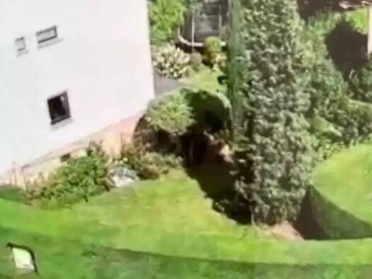 Reihenhaus zur Miete 1.550 € 5,5 Zimmer 115 m² 576 m² Grundstück frei ab 01.05.2026 Lengfeld Würzburg 97076