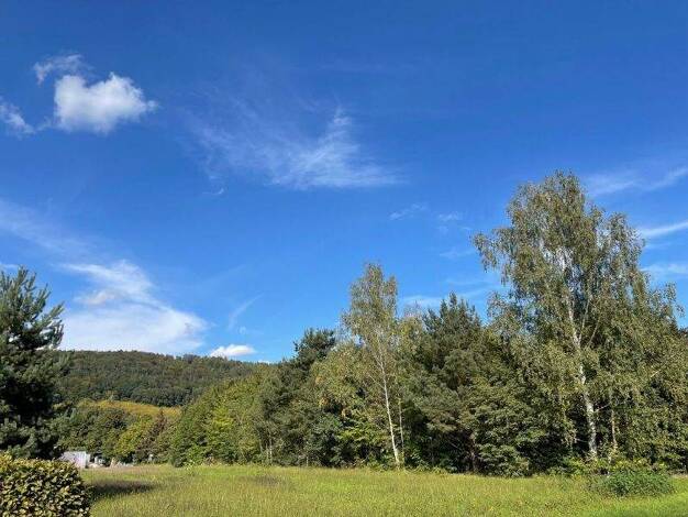 Grundstück zum Kauf 80.000 € 737 m² Grundstück Schönfeld Dresden 01328