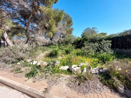 Acker-/Waldstück zum Kauf 810.000 € Xàbia / Jávea 03738