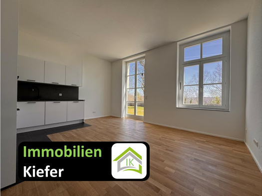 Terrassenwohnung zur Miete 895 € 1,5 Zimmer 60 m² frei ab sofort Horb Horb am Neckar 72160