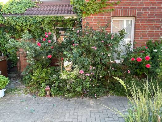 Sonstiges zum Kauf provisionsfrei als Kapitalanlage geeignet 763.000 € 265 m² 1.050 m² Grundstück Dassow Dassow 23942