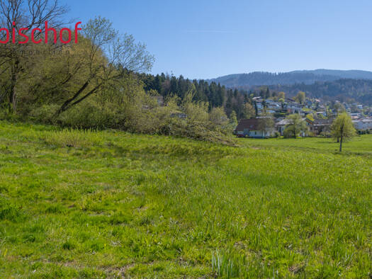 Grundstück zum Kauf 950.000 € 1.257 m² Grundstück Schwarzach 6858