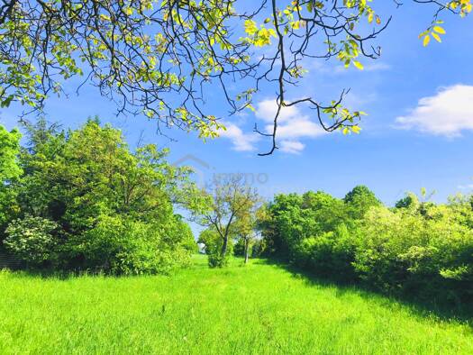 Grundstück zum Kauf 164.000 € 469 m² Grundstück Breitenbrunn am Neusiedler See 7091