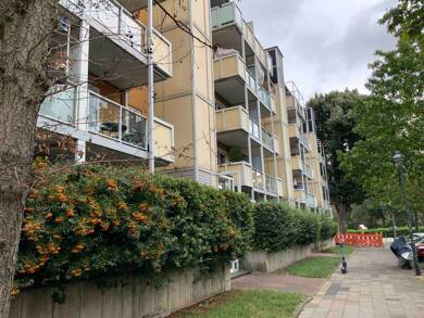 Wohnung zur Miete 524 € 2 Zimmer 48,9 m² 3. Geschoss frei ab 01.08.2025 Haeselerstraße 28 Mörsenbroich Düsseldorf 40470