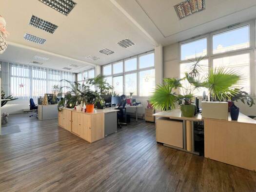 Bürofläche zur Miete provisionsfrei 10,50 € 402 m² Bürofläche Striesen-Ost Dresden 01277