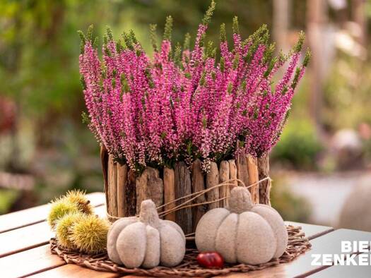 Haus zum Kauf provisionsfrei 685.254 € 5 Zimmer 145,7 m² 489 m² Grundstück Mittel-Gründau Gründau 63584