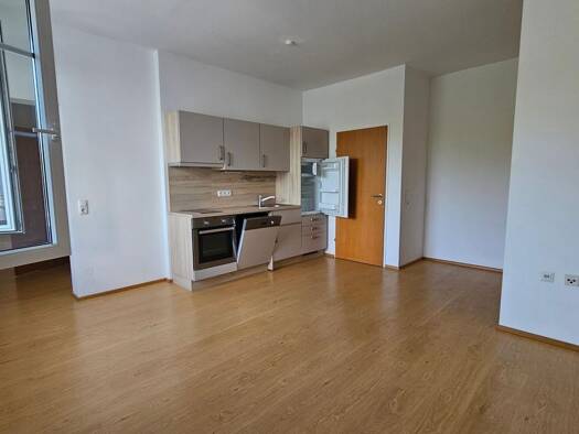 Wohnung zur Miete 305 € 2 Zimmer 48 m² 1. Geschoss Leopold Werndlstraße Steyr 4400