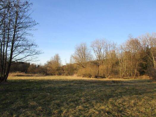 Grundstück zum Kauf Pallertshausen Pfaffenhofen an der Ilm 85276