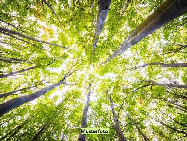 Land-/Forstwirtschaft zum Kauf 1.671 € 1.750 m² Grundstück Wargolshausen 97618