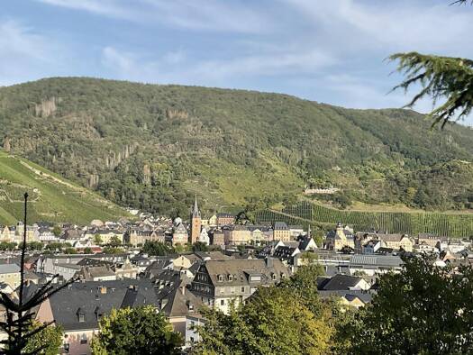 Grundstück zum Kauf provisionsfrei 2.314 m² Grundstück Auf der Trift 22 Kues Bernkastel-Kues 54470