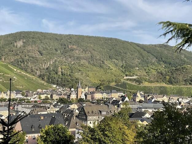 Grundstück zum Kauf provisionsfrei 2.314 m² Grundstück Auf der Trift 22 Kues Bernkastel-Kues 54470