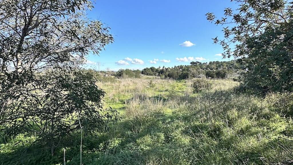Grundstück zum Kauf 2.300.000 € 19.000 m² Grundstück SAN JOSEP 08820