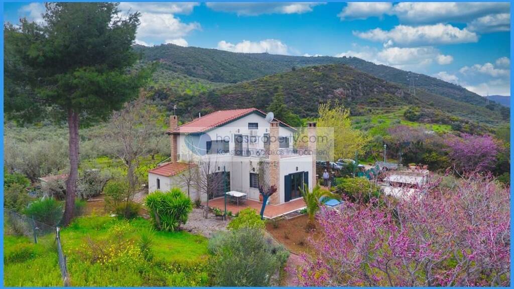 Villa zum Kauf 450.000 € 6 Zimmer 180 m² 9.000 m² Grundstück Akrata 25006