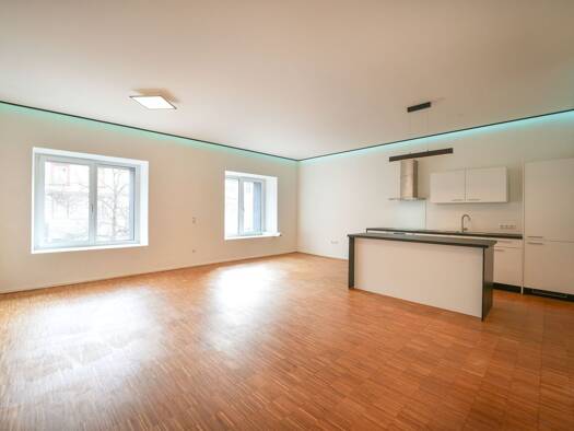 Wohnung zur Miete 585 € 2 Zimmer 82,6 m² Grabenhof Wels 4600