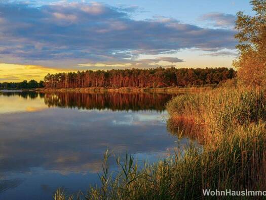 Einfamilienhaus zum Kauf provisionsfrei 340.000 € 7 Zimmer 193,7 m² 448 m² Grundstück Zerpenschleuse Wandlitz 16348