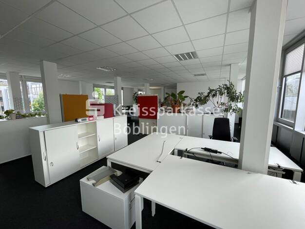 Büro zur Miete provisionsfrei 11 € teilbar ab 224 m² Böblingen Böblingen 71034