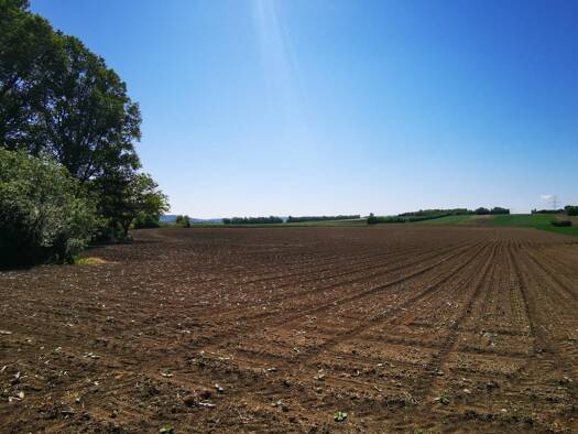 Grundstück zum Kauf 470.000 € 1.001 m² Grundstück Harmannsdorf 2111