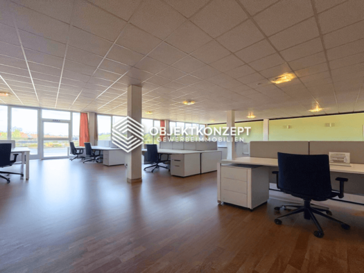 Büro zum Kauf provisionsfrei 449.000 € 828 m² Bürofläche Meßstetten 72469