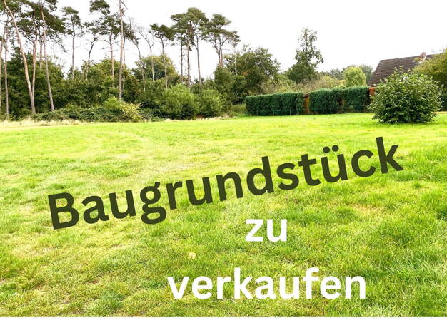Grundstück zum Kauf provisionsfrei 183.000 € 718 m² Grundstück Brögbern Lingen 49811