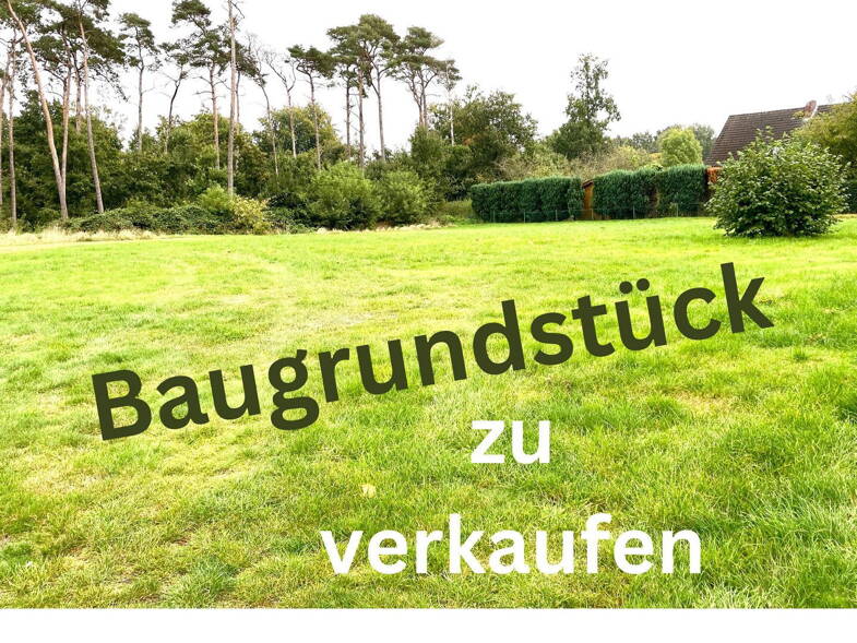 Grundstück zum Kauf provisionsfrei 183.000 € 718 m² Grundstück Brögbern Lingen 49811