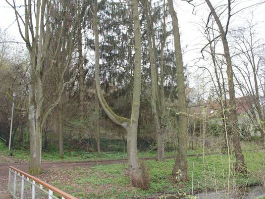 Grundstück zum Kauf 160.000 € 2.200 m² Grundstück Bad Wildungen Bad Wildungen 34537